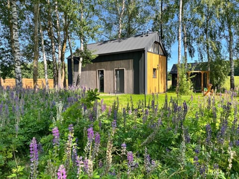 Domek na Kaszubach - Pierszczewo House in Pomeranian Voivodeship