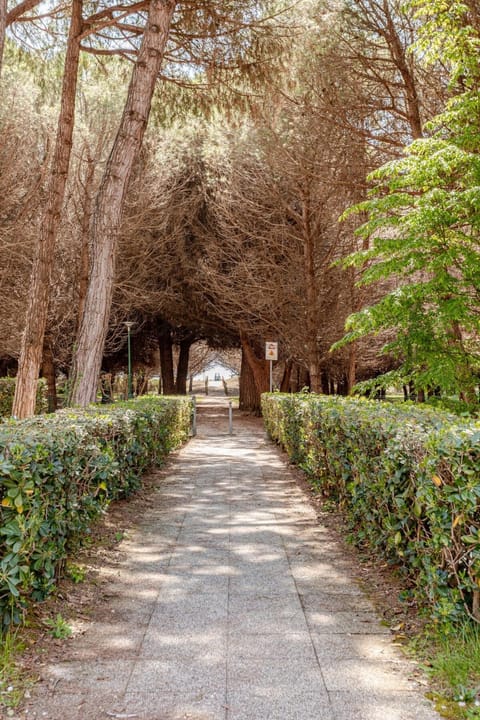Acquamarina Seaside Apartment in Bibione