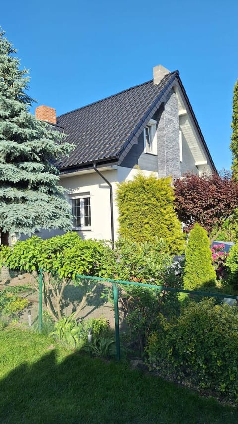 Property building, Spring, Garden