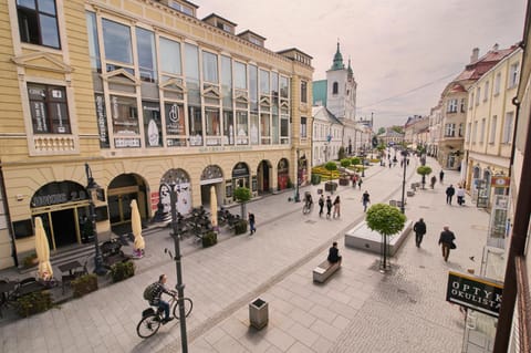 Neighbourhood, City view