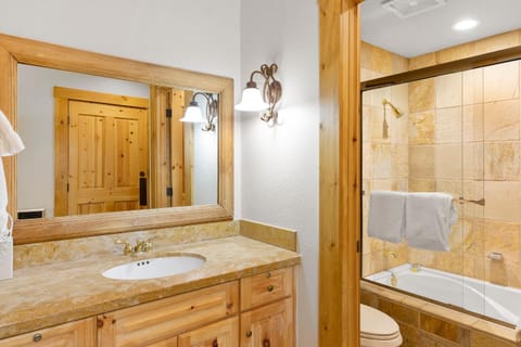 Skiin and out Beautiful Mtn Lodge - Affordable too House in Telluride