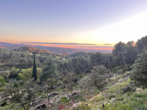 Natural landscape, Sunrise, Sunset
