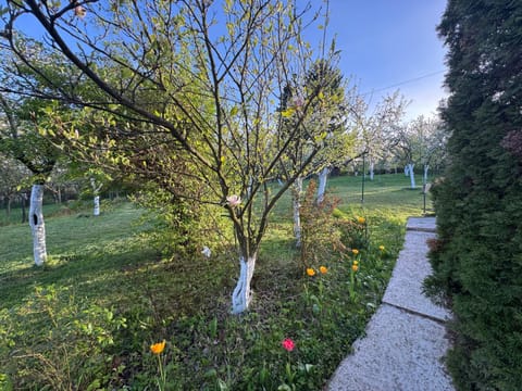 Sarajevo Green Spot House in Sarajevo