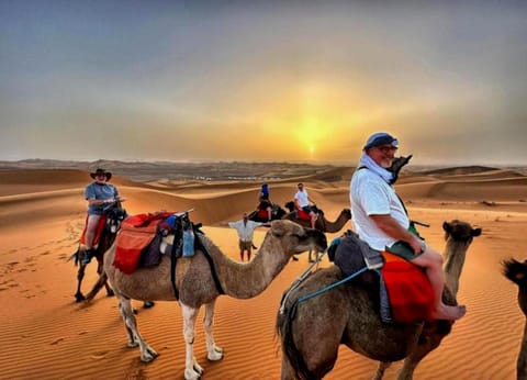 Nearby landmark, Day, Natural landscape, Animals, children, group of guests