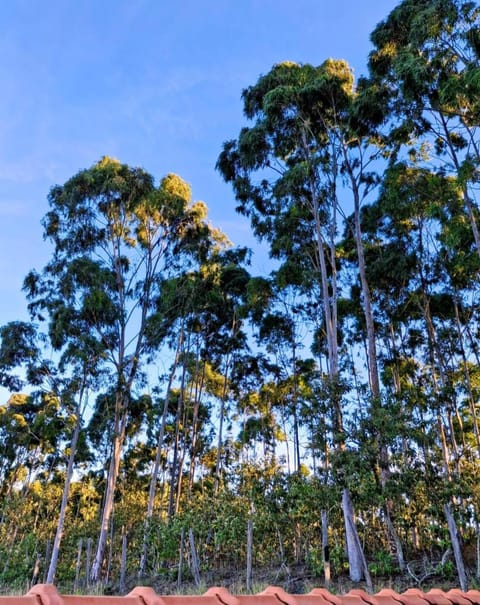 Monte Bello House in Miguel Pereira