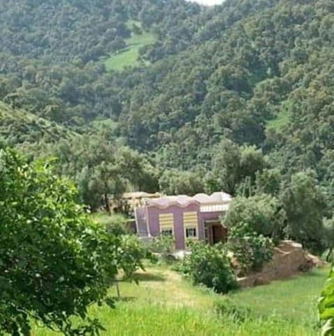 Property view