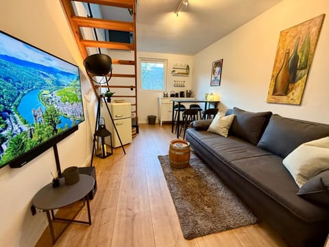 Communal lounge/ TV room, TV and multimedia, Coffee/tea facilities, Living room, Seating area, Dining area