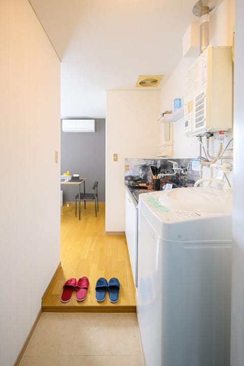 Kitchen or kitchenette, washing machine