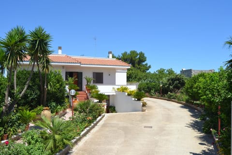 Facade/entrance, Garden