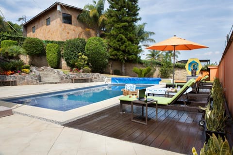 Garden, Garden view, Pool view, Swimming pool, Swimming pool