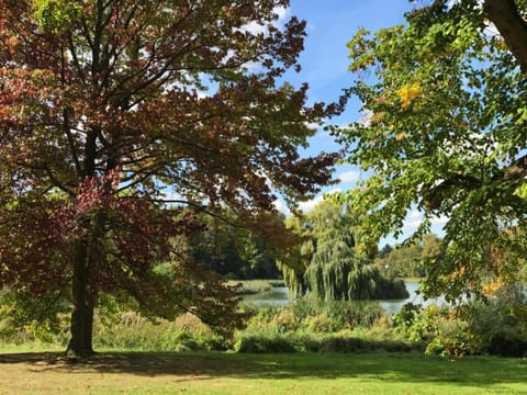 Natural landscape, Summer, Area and facilities