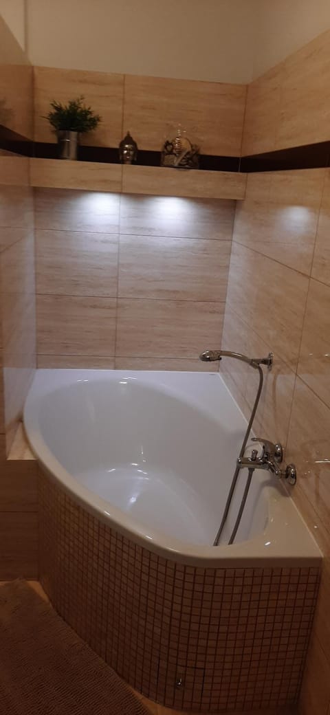 Apartament Modrzewiowa Apartment in Lithuania