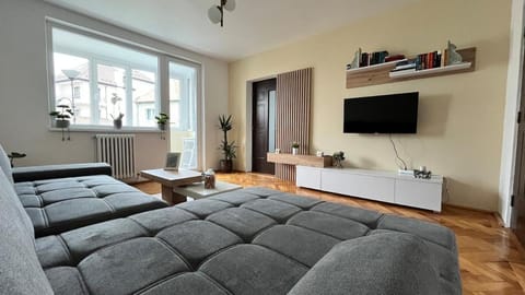 Library, TV and multimedia, Living room, Seating area, Evening entertainment