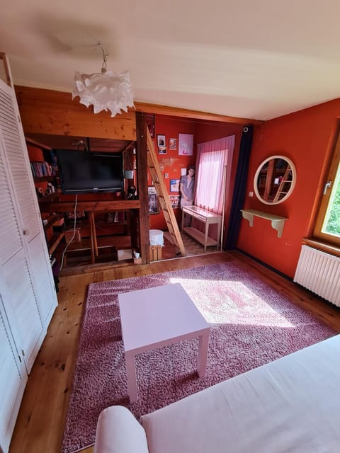 Berthi's Townhouse in city center Apartment in Greifswald