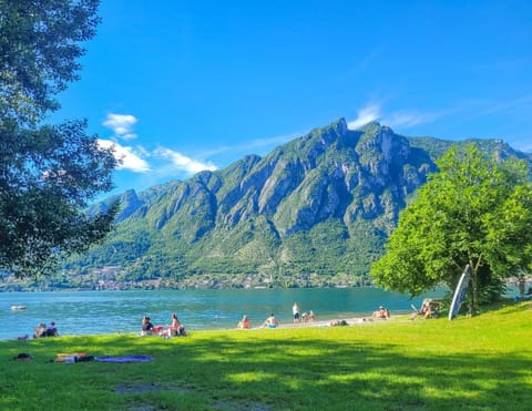Natural landscape