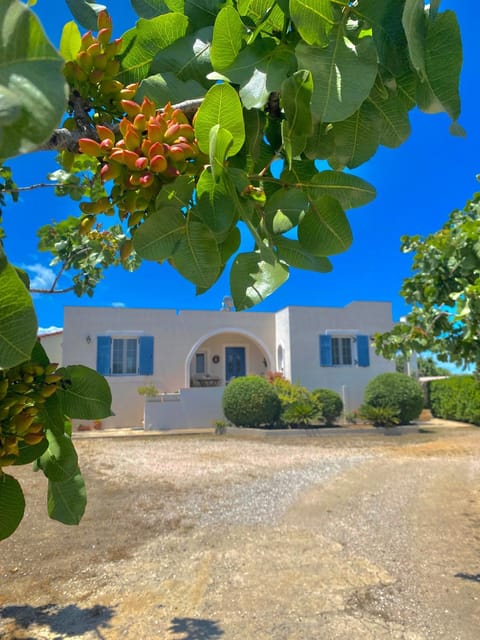 Property building, Spring, Day, Garden, Garden view