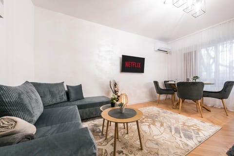 TV and multimedia, Living room, Seating area, air conditioner