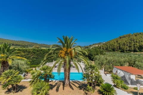 Garden, Swimming pool