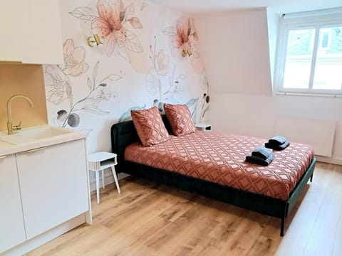 "Le Cocon de la Fontaine Neptune" Apartment in Arras