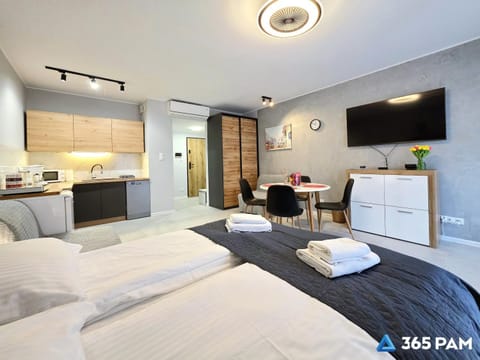 Bed, TV and multimedia, Kitchen or kitchenette, Photo of the whole room, Bedroom, towels, wardrobe