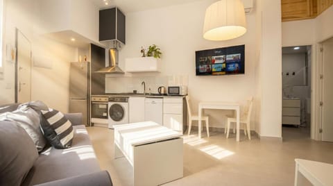 TV and multimedia, Kitchen or kitchenette, Living room, Seating area, Dining area, Evening entertainment, oven, pet friendly, stove, washing machine, dryer