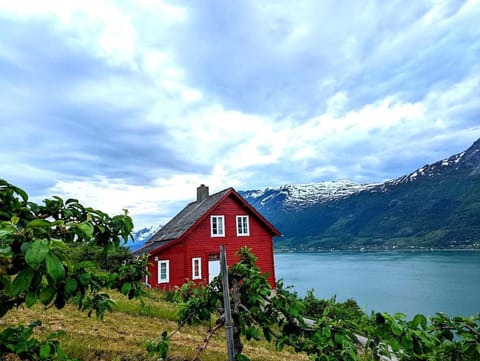 Property view