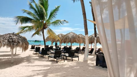 Day, Natural landscape, Beach, sunbed