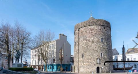 Viking triangle Apartment in Waterford City