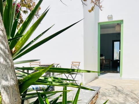 Naousa Paros Beach Front House House in Naousa