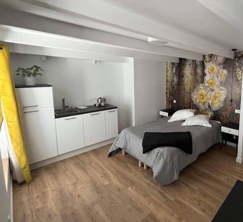 Bed, Kitchen or kitchenette, Photo of the whole room, Bedroom