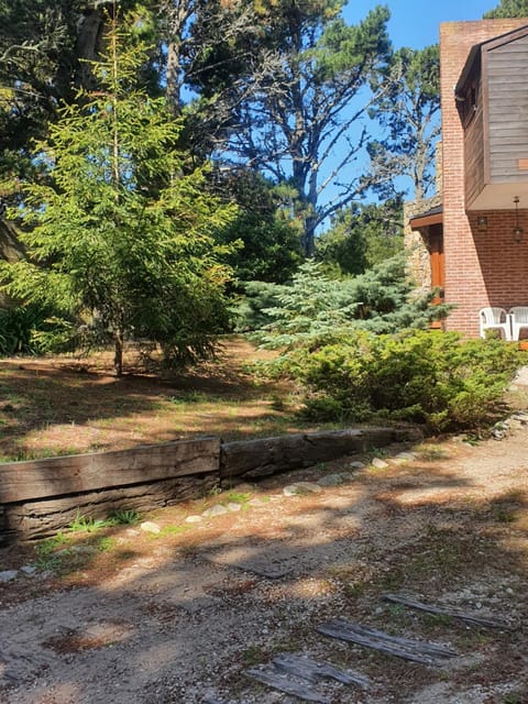 Property building, Garden, Garden