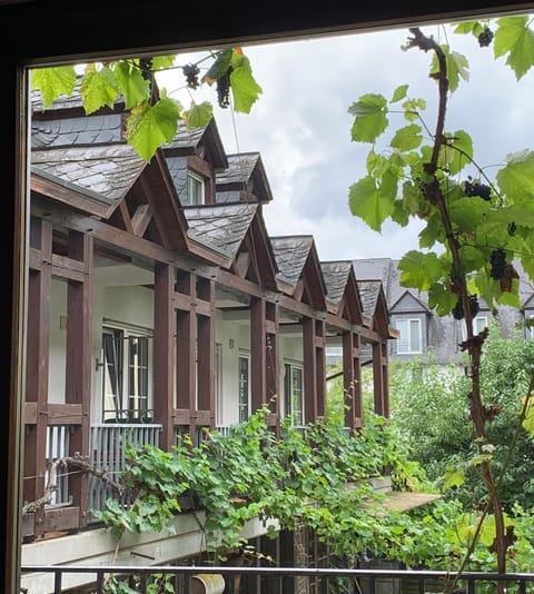 Moselbleibe Mainzer Apartment in Cochem-Zell