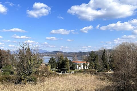 Lake view