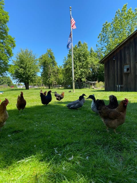 Town n Country House in Monmouth