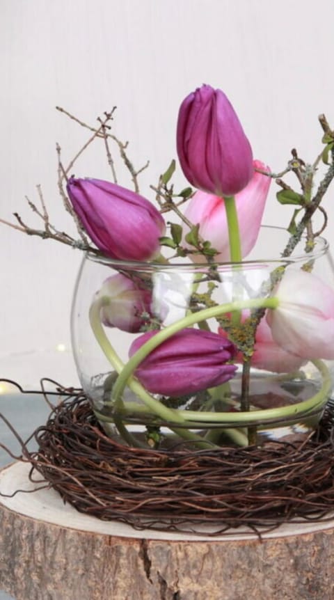 Aydogan Vermietung Apartment in Stade