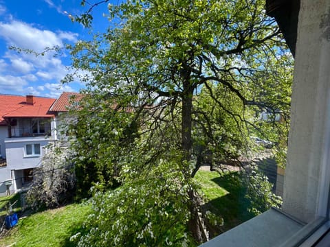 Property building, Garden, Garden view