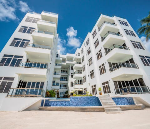 Property building, Day