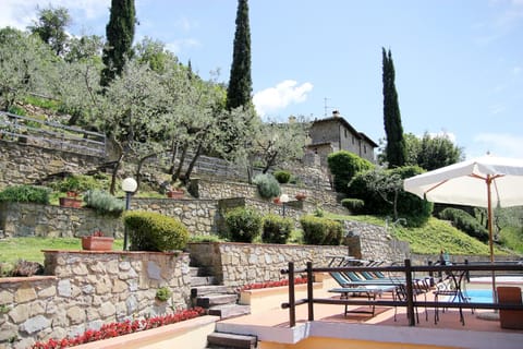 Garden, Garden view, Swimming pool