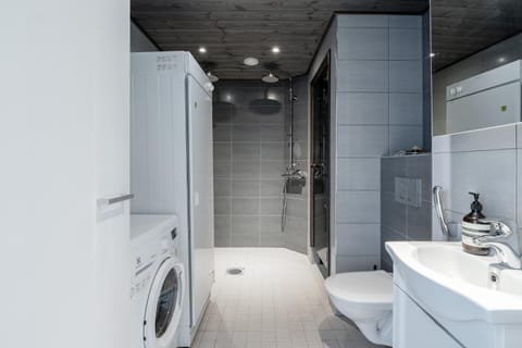 Shower, Sauna, Bathroom, bidet, washing machine