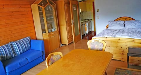 Apartment Haus Steigerbauer Top 29 Apartment in Salzburgerland