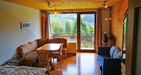 Apartment Haus Steigerbauer Top 29 Apartment in Salzburgerland