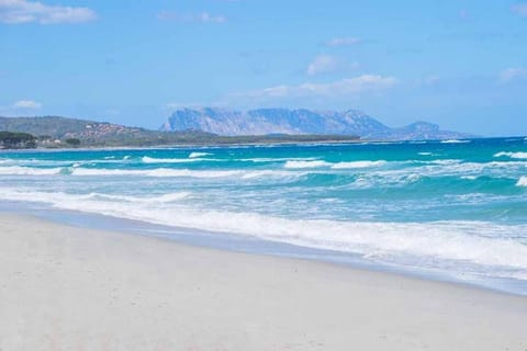 Tavernetta Trilo 2 Apartment in Budoni