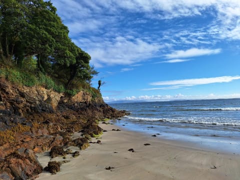 Wild Rowan Cottage - 2 Bedroom House in County Mayo