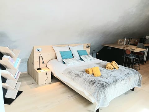 Bed, Living room, Photo of the whole room, Bedroom, towels