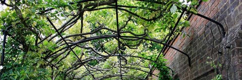 Rse Bed and Breakfast in Cleethorpes