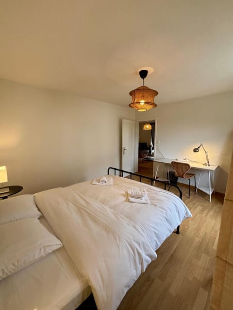 Basic Apartment with Balcony Access Apartment in Zurich City