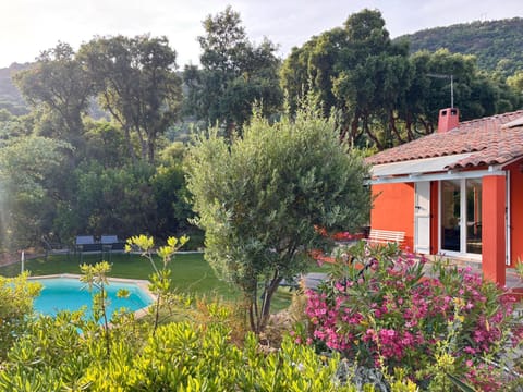 Natural landscape, Garden, Garden view, Pool view, Swimming pool, sunbed