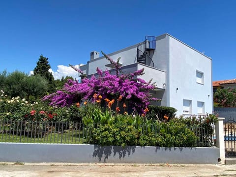 Villa Daniel Villa in Pula