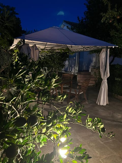 Patio, Night, Garden, Garden view
