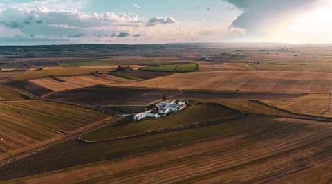 Masseria 25 Anni Apartment in Province of Taranto